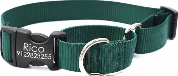 perfect collar for your dog green